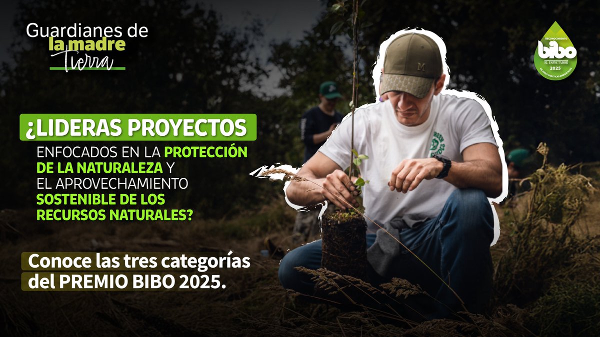 BIBOCol's tweet photo. Reconoceremos a las mejores iniciativas ambientales del país. 🏆 El Premio BIBO 2025 tiene tres categorías: 

1⃣ Innovación y bioeconomía.
2⃣ Cuidado comunitario de la biodiversidad.
3⃣ Transformadores a través de la educación ambiental.

¿Quieres participar? 👉 https://t.co/twoy8oSe7J