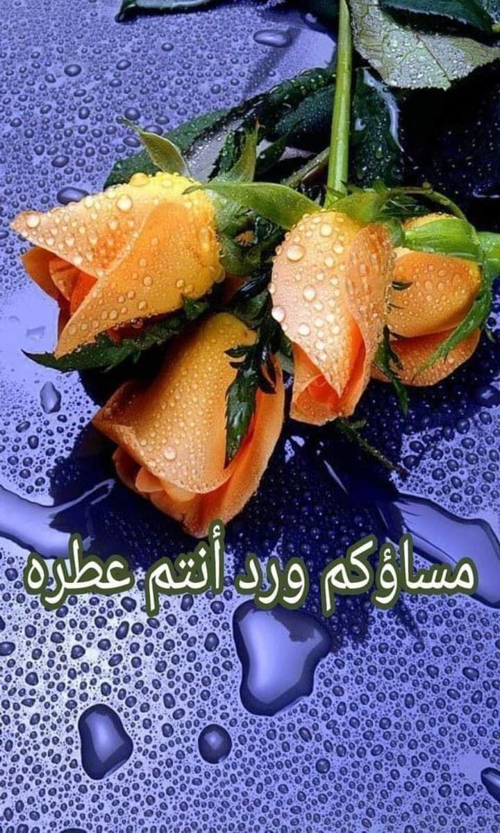 للزهور سحرا يلمس القلوب
وعطرا تعشقه الروح وتذوب 💜☘️
فلم اجد أغلى من الورود 
اهديها لكم يا اصحاب أطيب القلوب 💜☘️

# مساء الورد والفل والياسمين 💜☘️