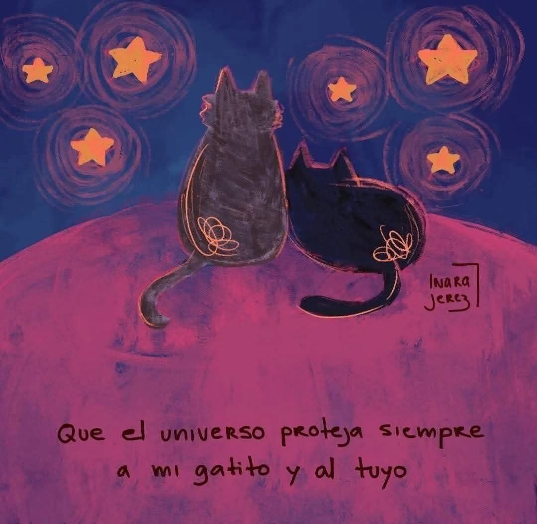 DiloConGatitoz's tweet photo. Hecho está ✨ https://t.co/ClZvOP6pkn