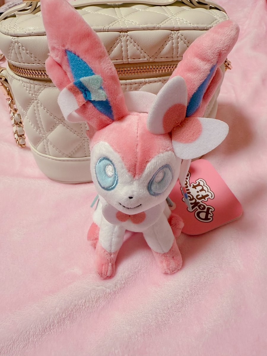 pyontan_tcgo's tweet image. 初めてポケモンfit買った🐰🤍

#ポケモンfit 
#ポケモンfitのある暮らし