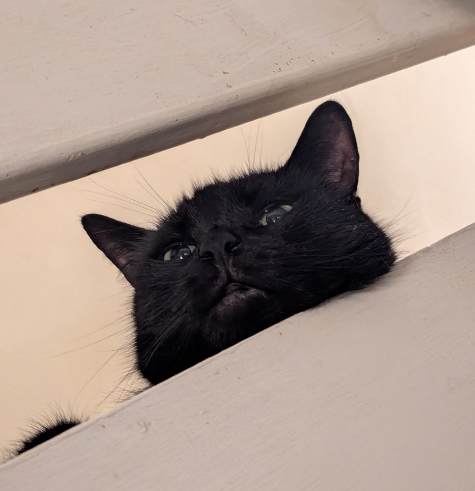 nostalnerd's tweet image. He who holds the stairs, holds dominance.