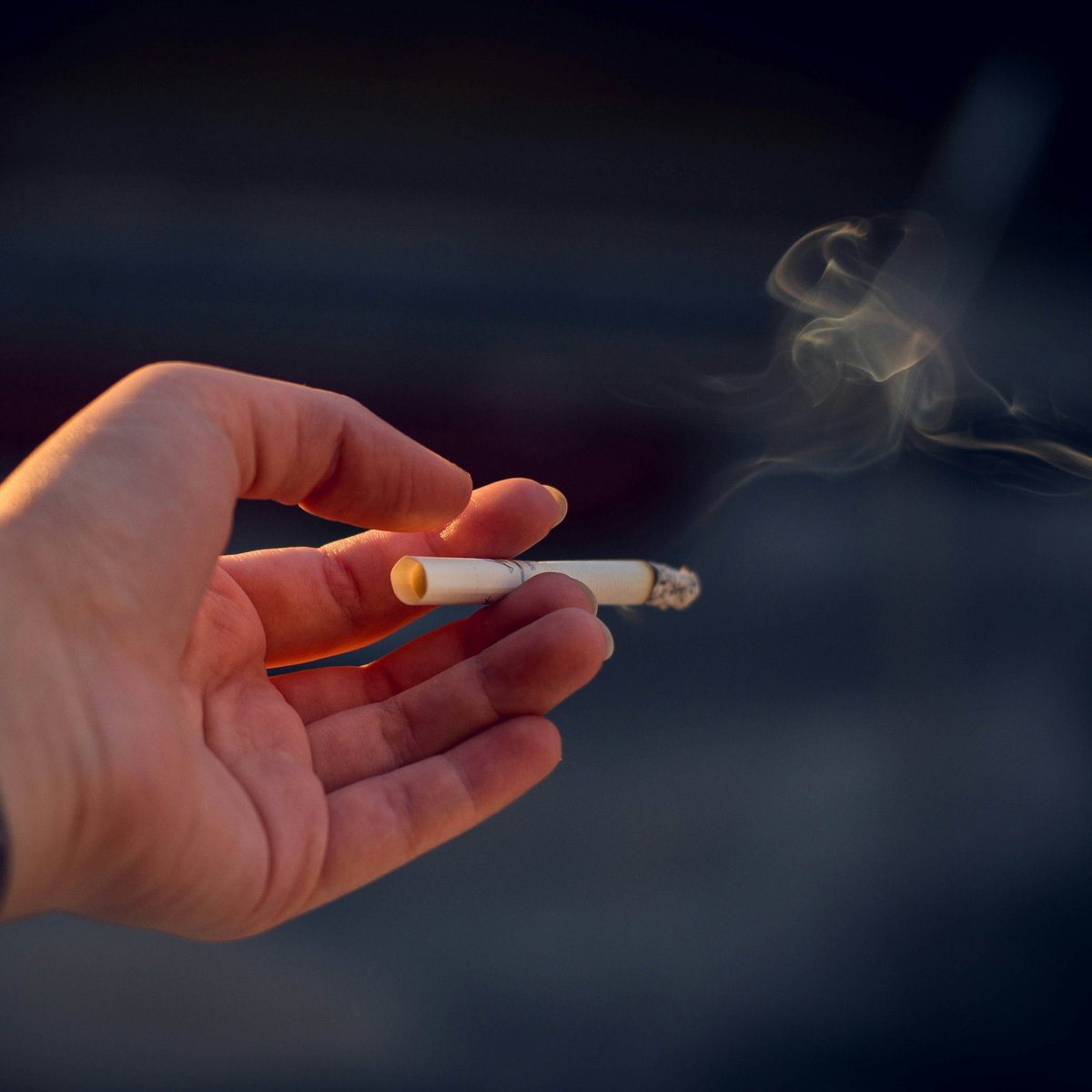 Senin keyfin, başkalarının acısı olmasın !
#izmiryanıyor #yangın #sigara