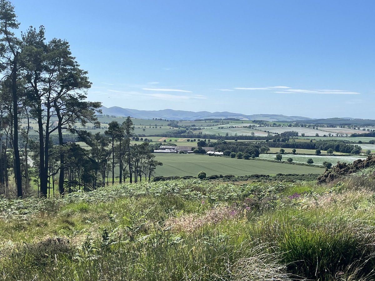 A warm trek up to <a href="/nationaltrust/">National Trust</a> St Cuthbert’s Cave yesterday-well worth it for the view alone! #mustvisit #northumberland
