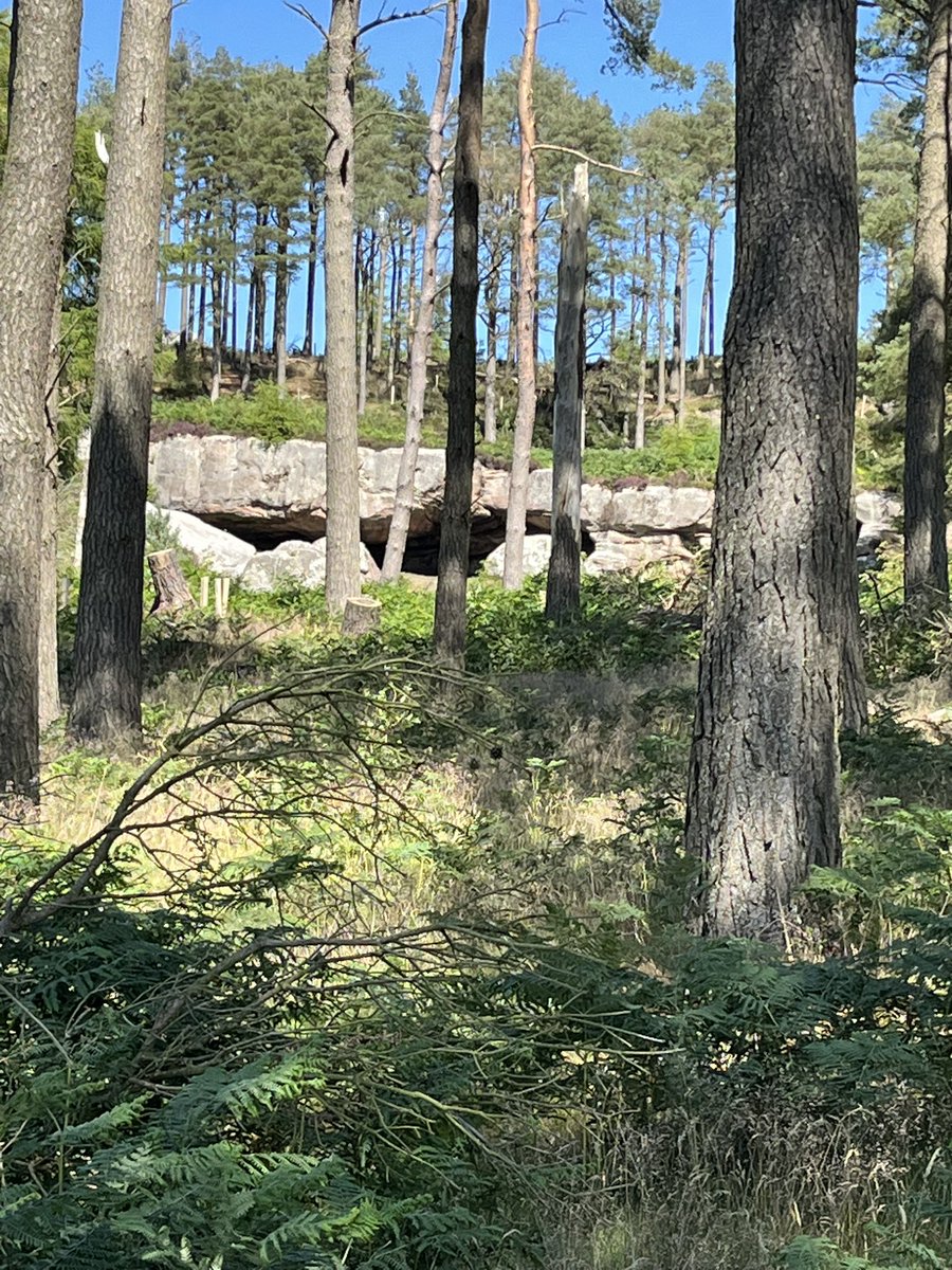 Must Visit ↘️ tweet media