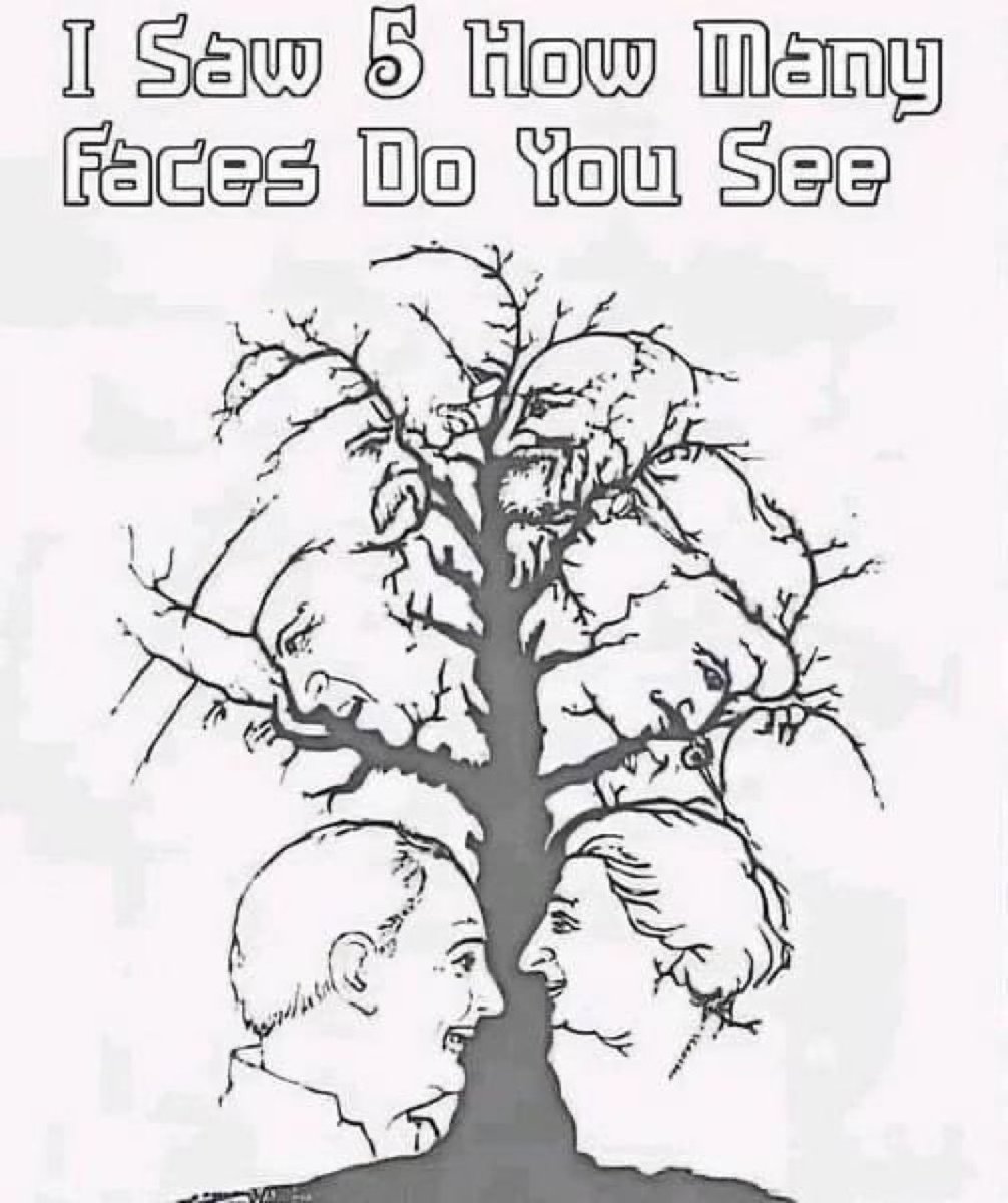 How many faces do you see