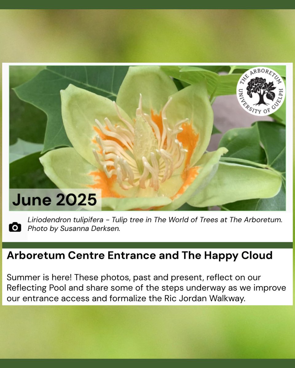 June 2025 Newsletter!
Check your inboxes or visit the link below to learn about Summer! Reflecting Pool, Workshops, Improvement Updates, and More!

Link: mailchi.mp/uoguelph/june2…

#UoGArboretum  #UofG #Guelph #ExploreGuelph #OnlineLearning #OutdoorLearning #Summer