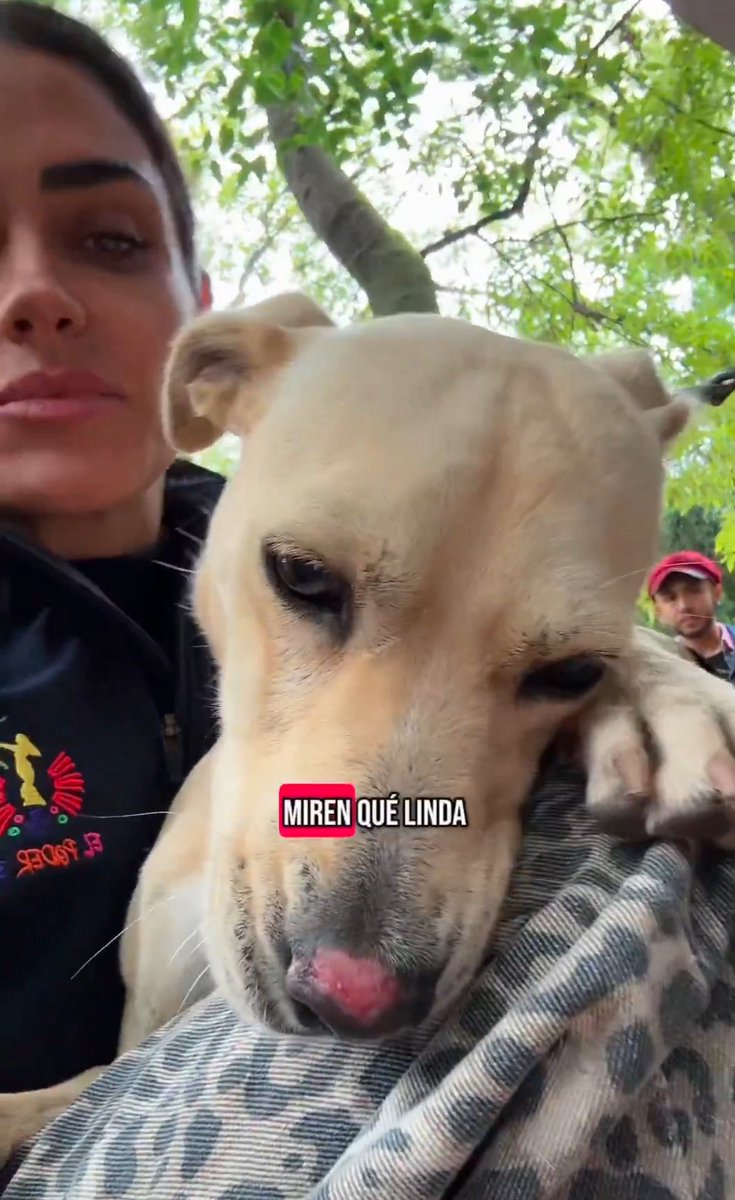 Mar C.A💛💙💜 tweet media