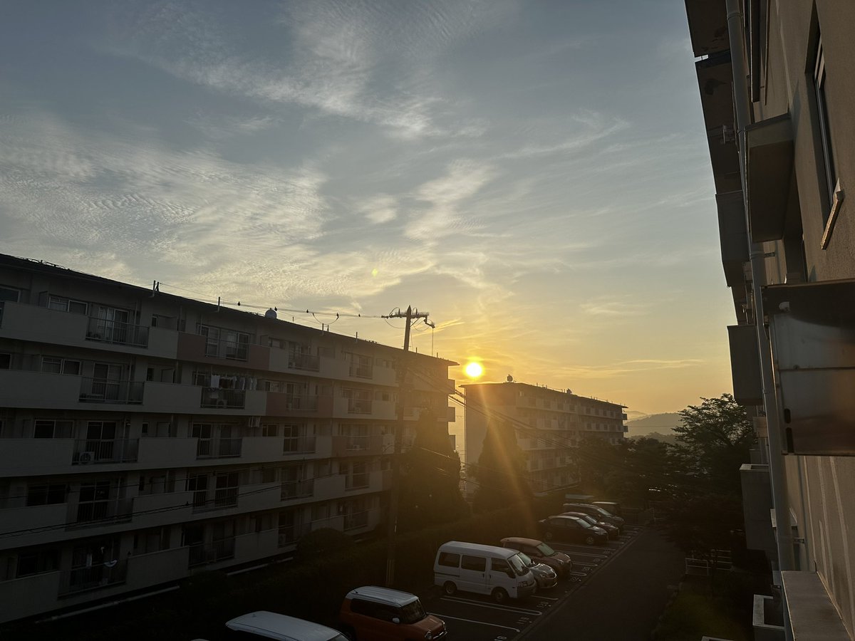 SUNDAY310t4's tweet photo. おはようございます☀️
今日一日が良い一日でありますように🙏 https://t.co/J0KwggVV6O