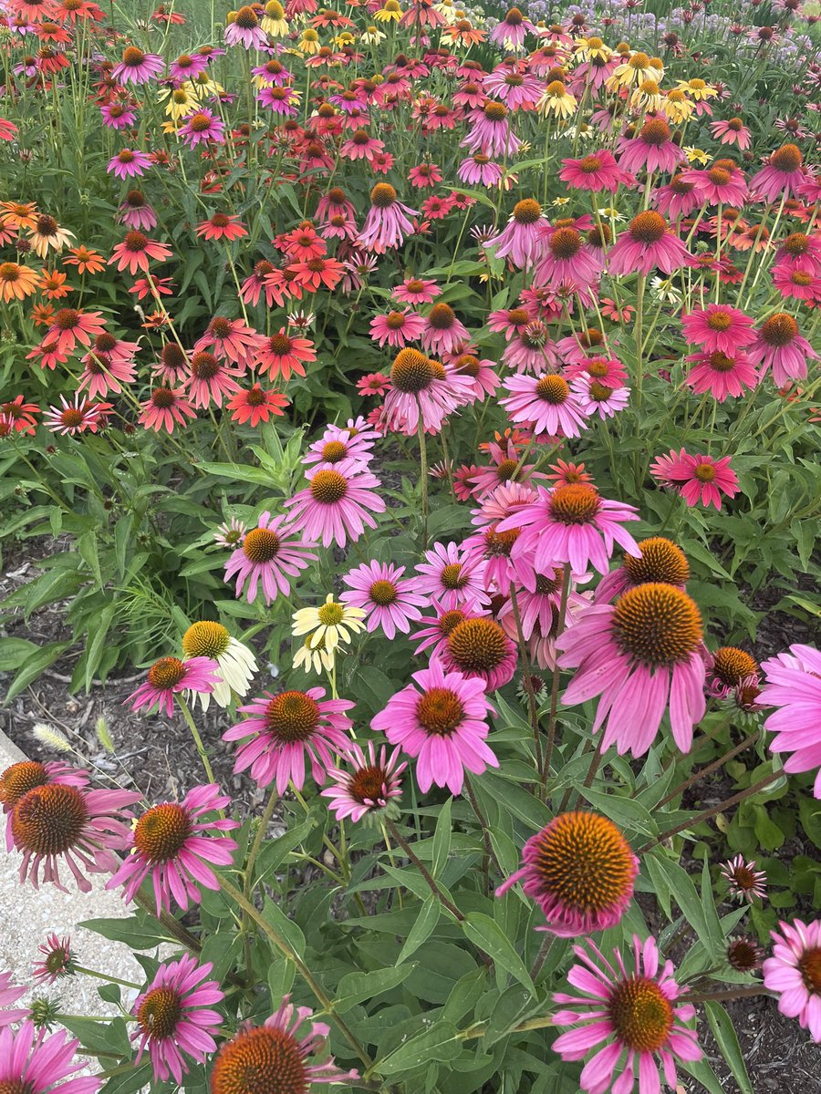 I hope your Monday was bright and beautiful!