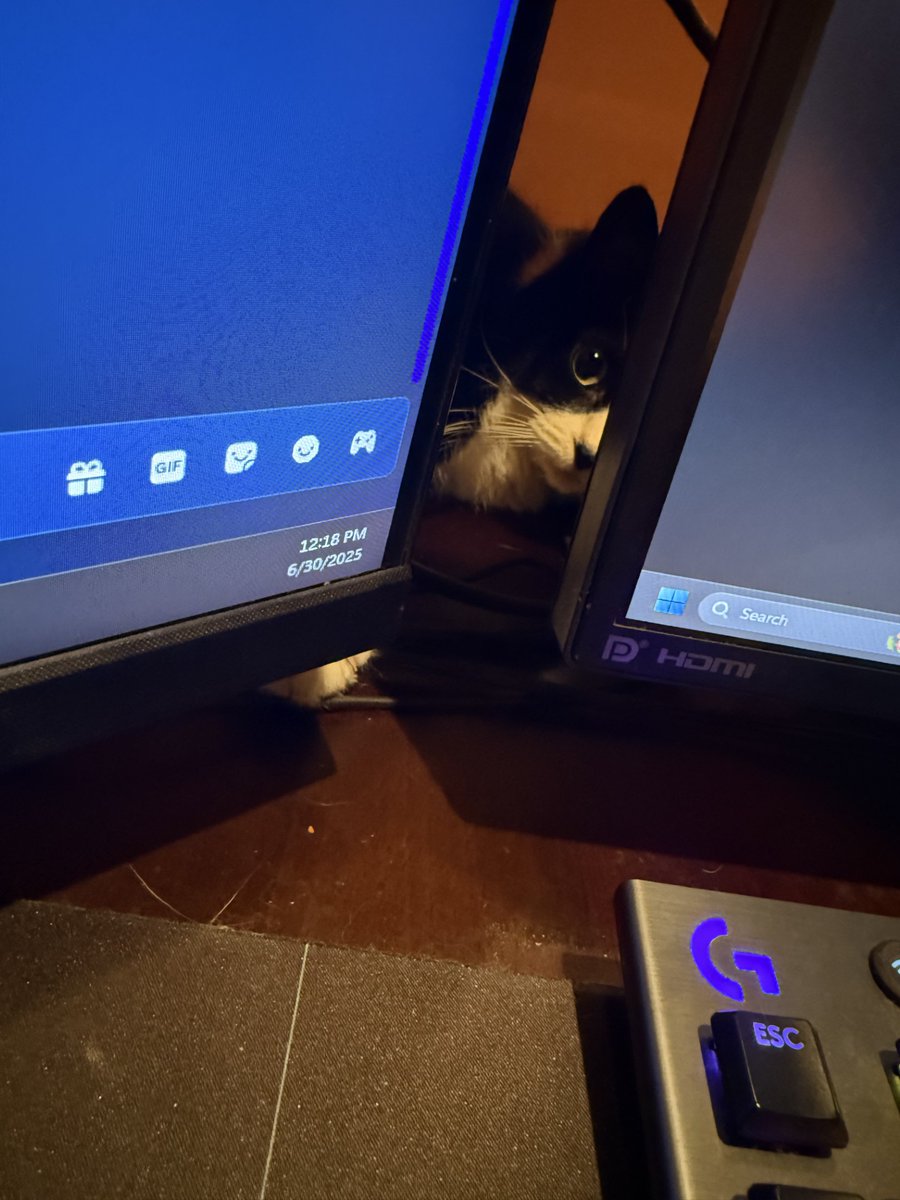 M1DNYTEKING's tweet image. how am i supposed to grind content with a tiny void demon lurking between my monitors, silently judging my every click and trying to assassinate my keyboard from below 😾🎮

this is not a work setup… it’s a hostage situation.

#CatBoss #StreamerStruggles #SendHelp