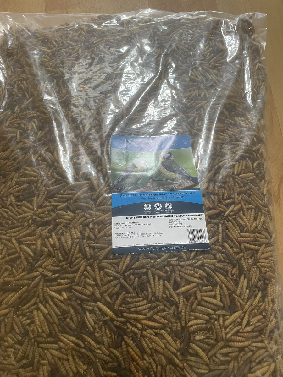 Vom letzten Gutschein 😬 habe ich diese Larven bestellt 💪🦔 die Igel fressen sie sehr gerne 💪🦔🫶