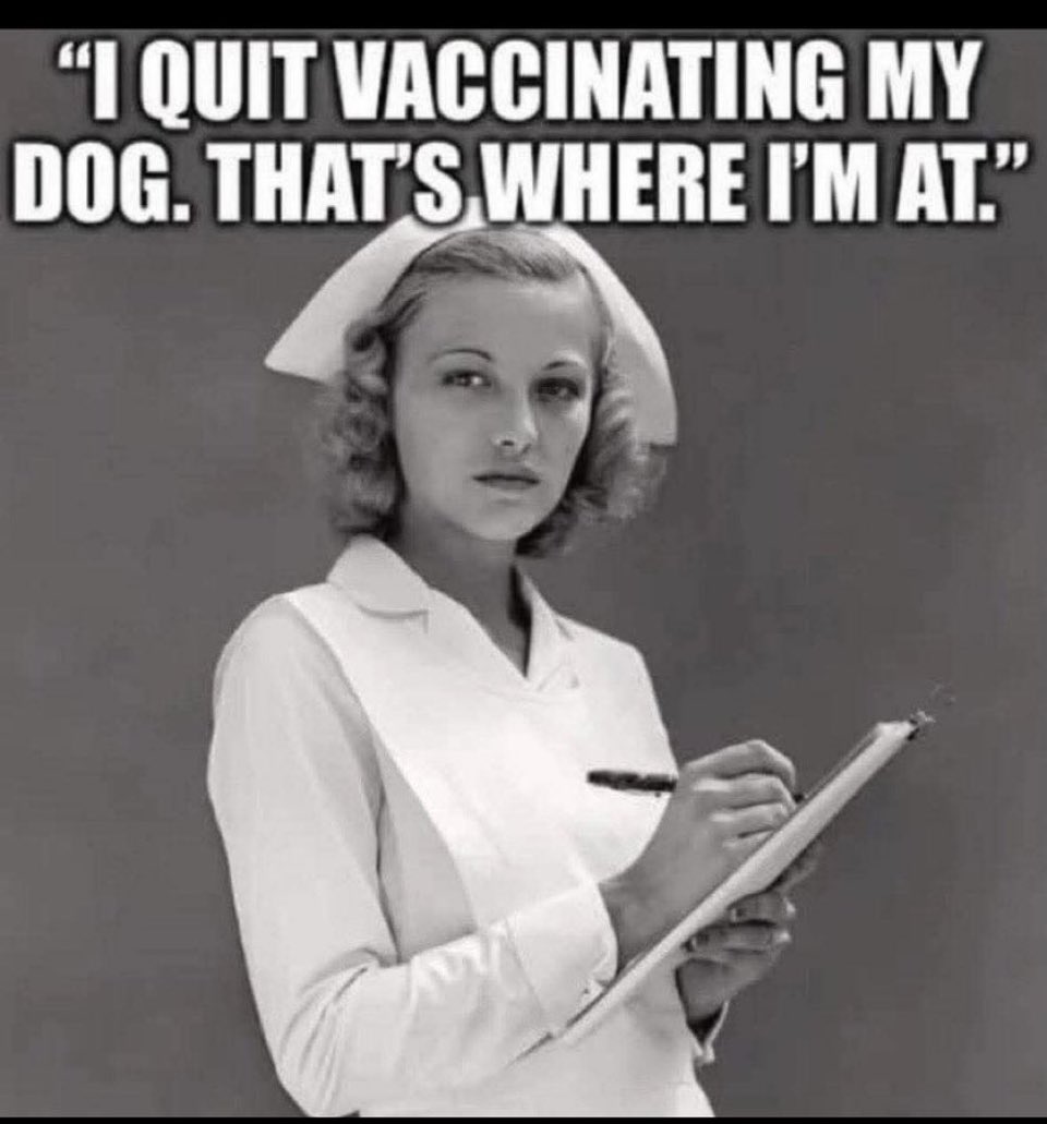 liz_churchill10's tweet photo. After listening to the Tucker and RFK Jr. bombshell interview on ‘vaccines’… https://t.co/aUH7ofbjBf