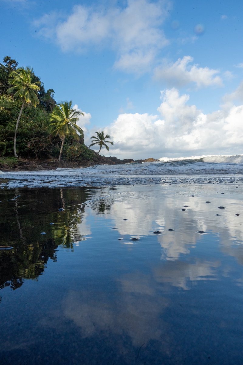 Sometimes I go cool places and bring my camera along

We visited another part of #Bahia on the vacation portion of our family trip and basically had most beaches entirely or almost entirely to ourselves

PS: Some hiking required for a few spots

#brazil #brasil #Itacaré #nordeste