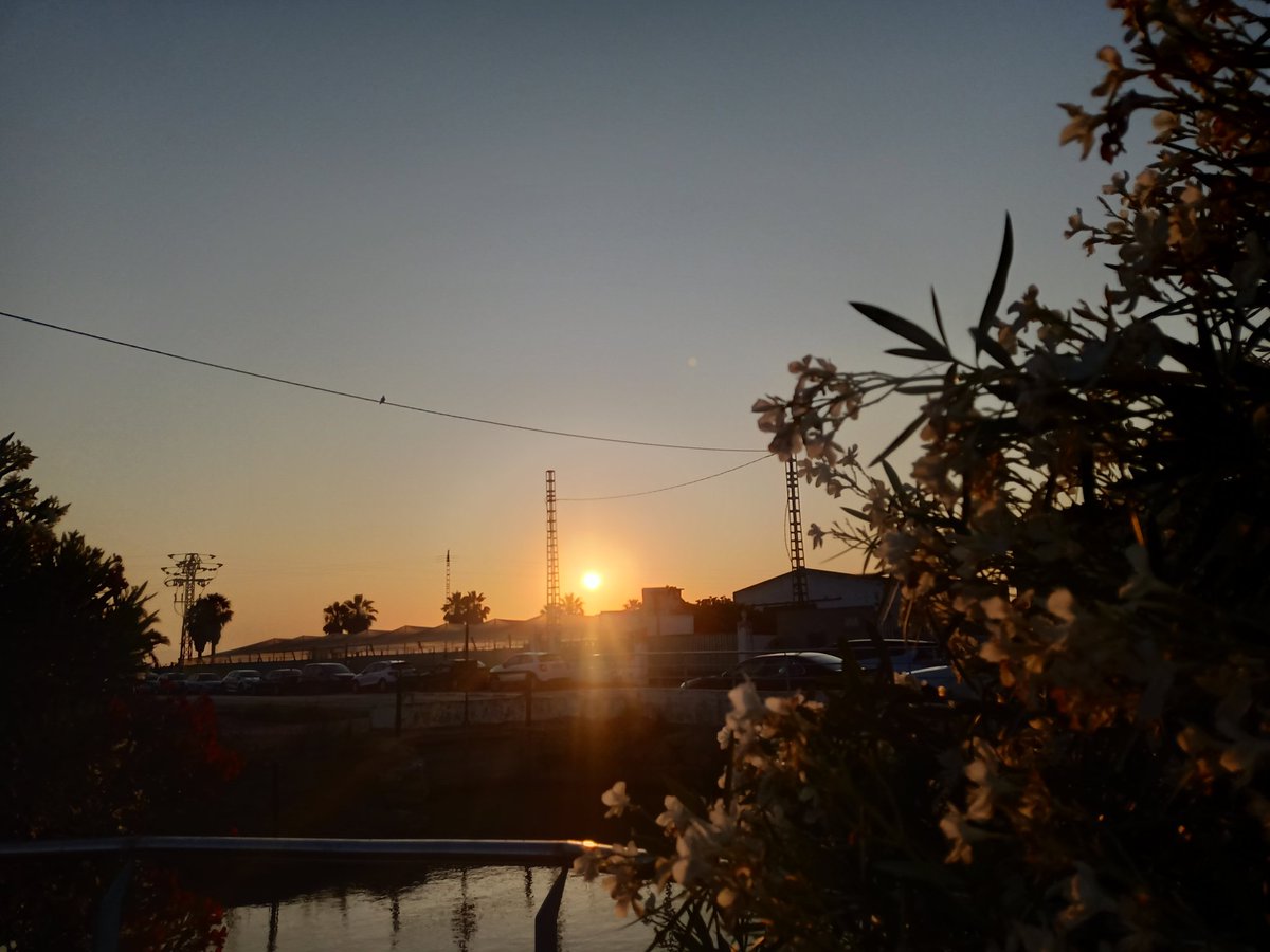 La_gata_bonita's tweet photo. 📸Mareny de Barraquetes #Valencia
#AdiosJunio
#OlaDeCalor
#NaturePhotography
#sunsetlover
#TiempoCV
#summer
@AEMET_CValencia @ElTiempoes @meteolivereta @oratgenet @SomosMeteo @Valencia_WX @Tiempo_Valencia @AEMET_Esp @avamet @1967fct @esa_es @c_valenciana @spain @apuntoratge https://t.co/f7KxRdXaC8