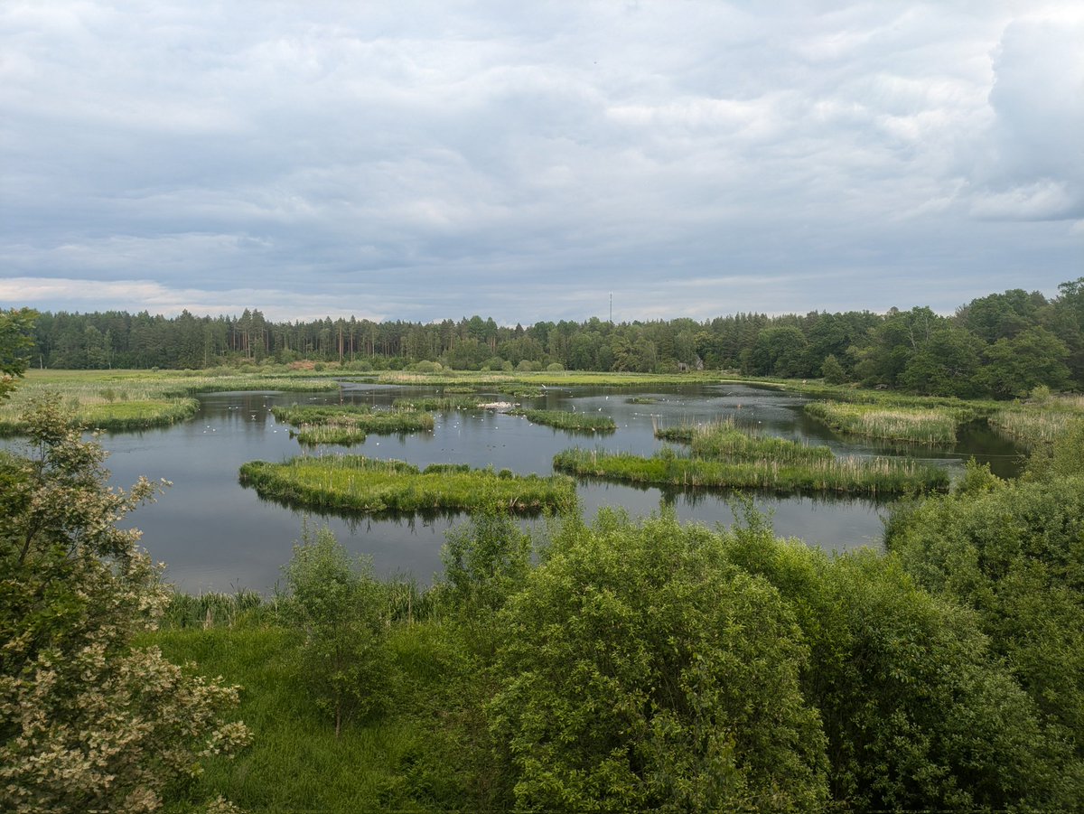 Shacozzi's tweet image. watuh