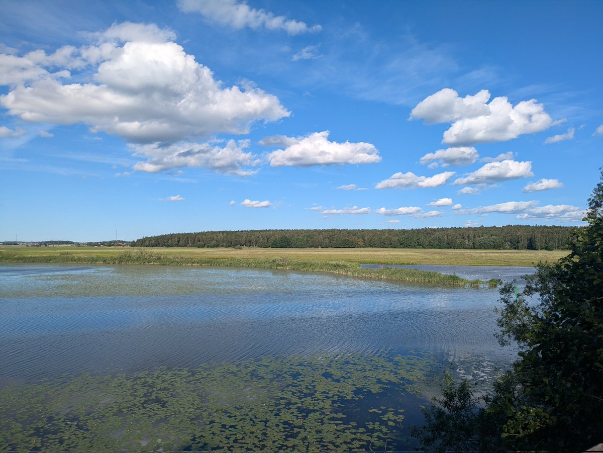 Shacozzi's tweet image. watuh