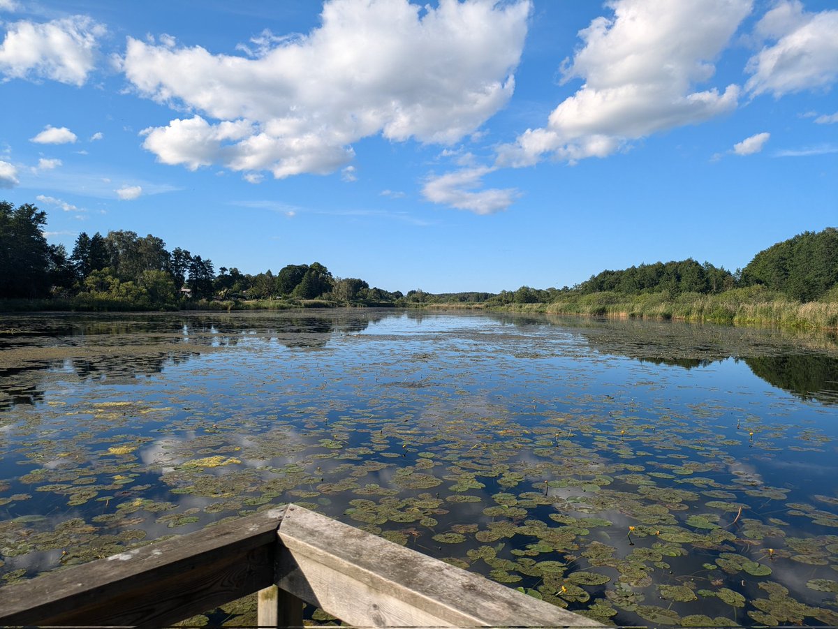 Shacozzi's tweet image. watuh