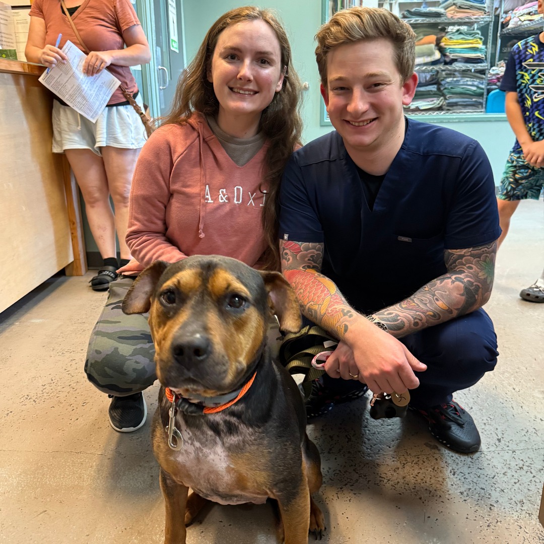 🐾💚 Last Week's Adoption Numbers 💚🐾

During the past week, 131 dogs, cats, and rabbits found loving homes—including Sam and Zelda! 🎉🐶🐱🐰 

Congrats to all the pets and their new families!

Check out all our adoptable pets on our website: thehumanesociety.org/adopt