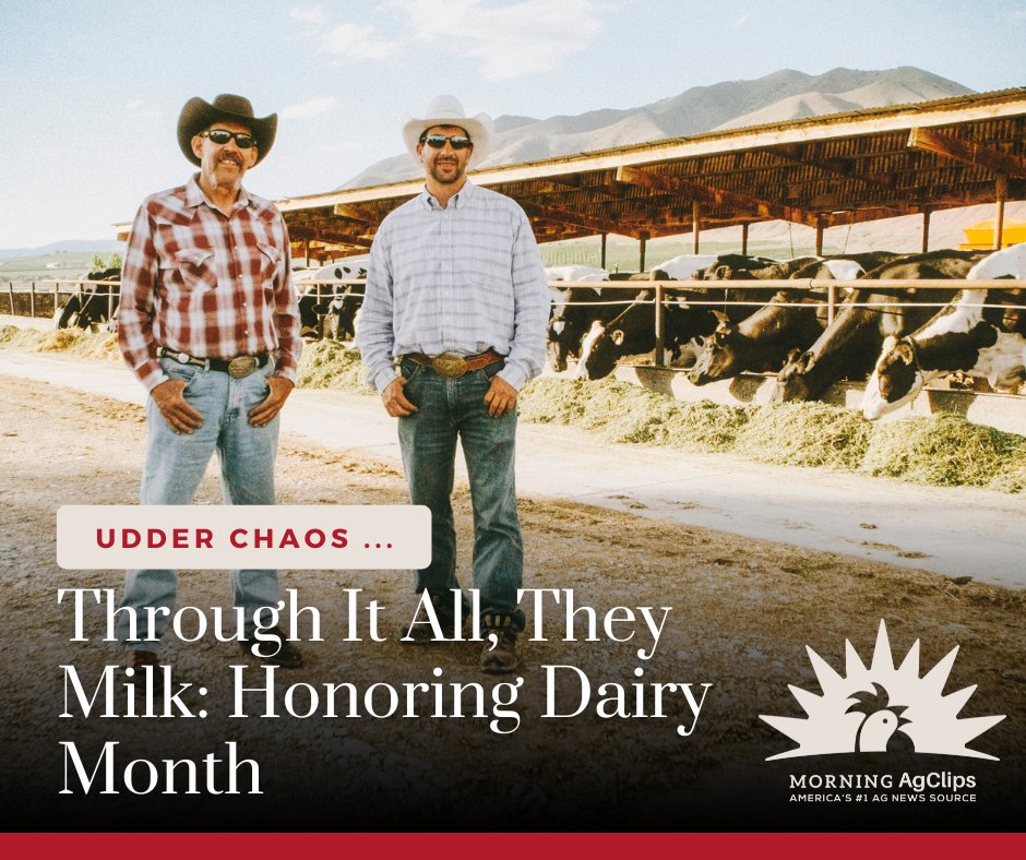To the dairy farmers of the world, we see you. Dairy month may be coming to an end, but the hard-working individuals who devote their lives to the incredible dairy cow will not rest.

Read on: hubs.la/Q03vdcXf0

#juneisdairymonth #dairymonth #dairyfarm