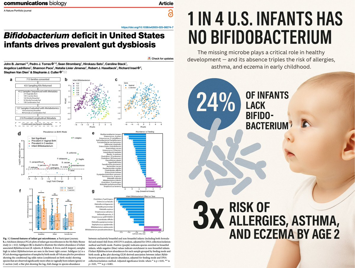 🚨1 in 4 U.S. Infants Has No Bifidobacterium, Landmark Study Finds

A keystone gut microbe critical for healthy development is disappearing — with serious consequences.

⚠️ 30% diagnosed with allergies, eczema, or asthma by age 2

📈 Risk of immune disease tripled in infants with