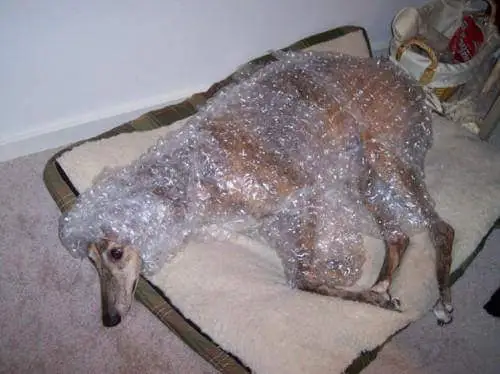 weirdosfangs's tweet photo. vc ja se sentiu assim https://t.co/IlTqb6yuOB