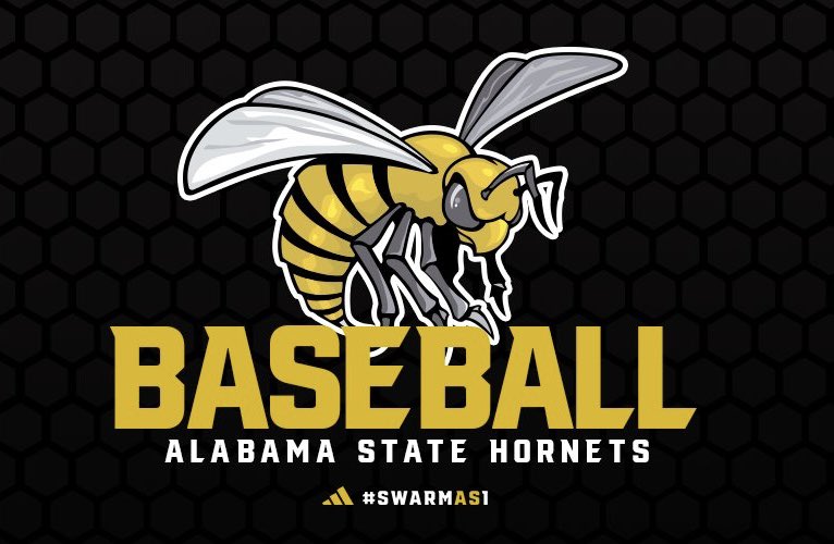 Skywalker Mann tweet media