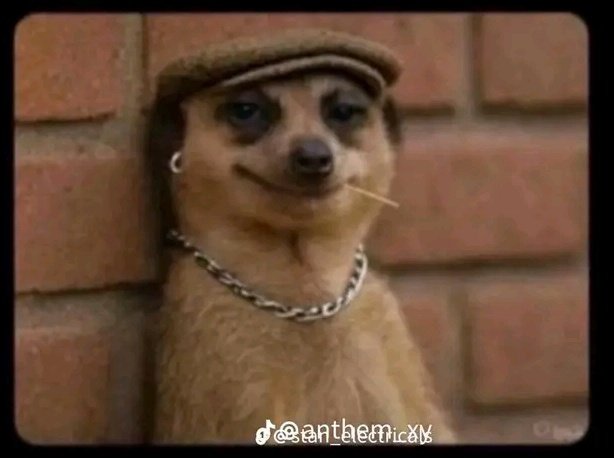 isiaqahmed28's tweet image. People living in some areas in ikorodu washing their vehicles 

Rain👇