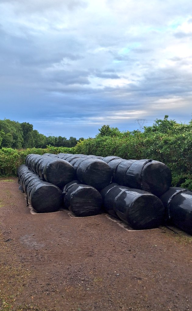 Kieran Griffin tweet media