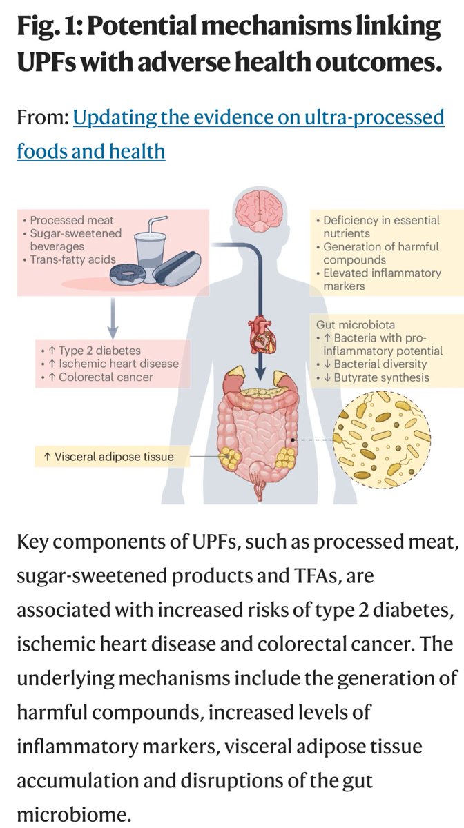 🧃🥓🥐 Obří populační studie publikovaná dnes v Nature Medicine potvrdila, že i malé množství zpracovaného masa, slazených nápojů a transmastných kyselin (ztužené tuky) zvyšuje riziko závažných nemocí – a to bez bezpečné hranice příjmu!

🔬 Metaanalýza zahrnující přes 3,5 milionu