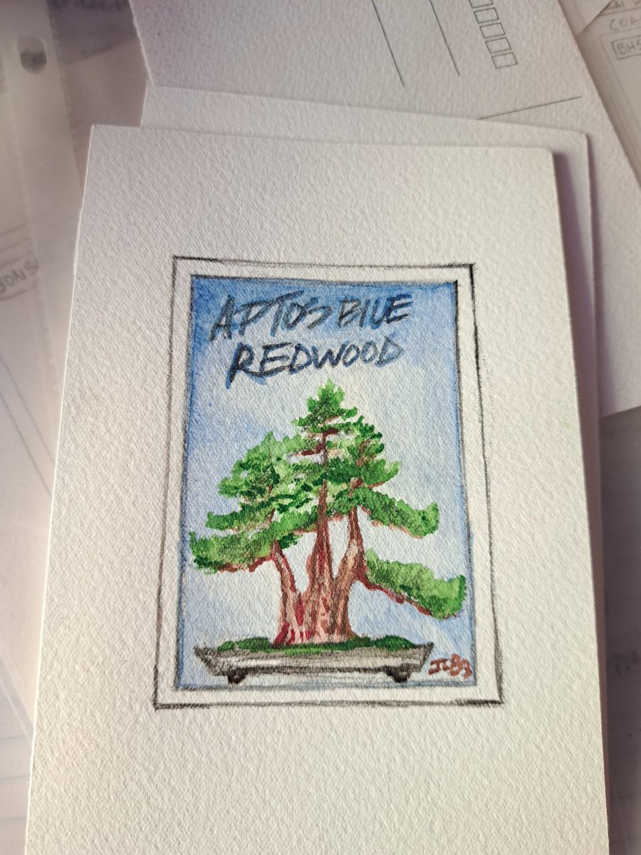 S1 #1-1/8 Painted #bonsaicard
#bonsaitradingcard 
#bonsaihunterscards
#bonsaihunterstradingcards
#BonsaiTradingCards
#bonsaicards #collect #trade #bonsai #bonsaiart #bonsaitree #redwood