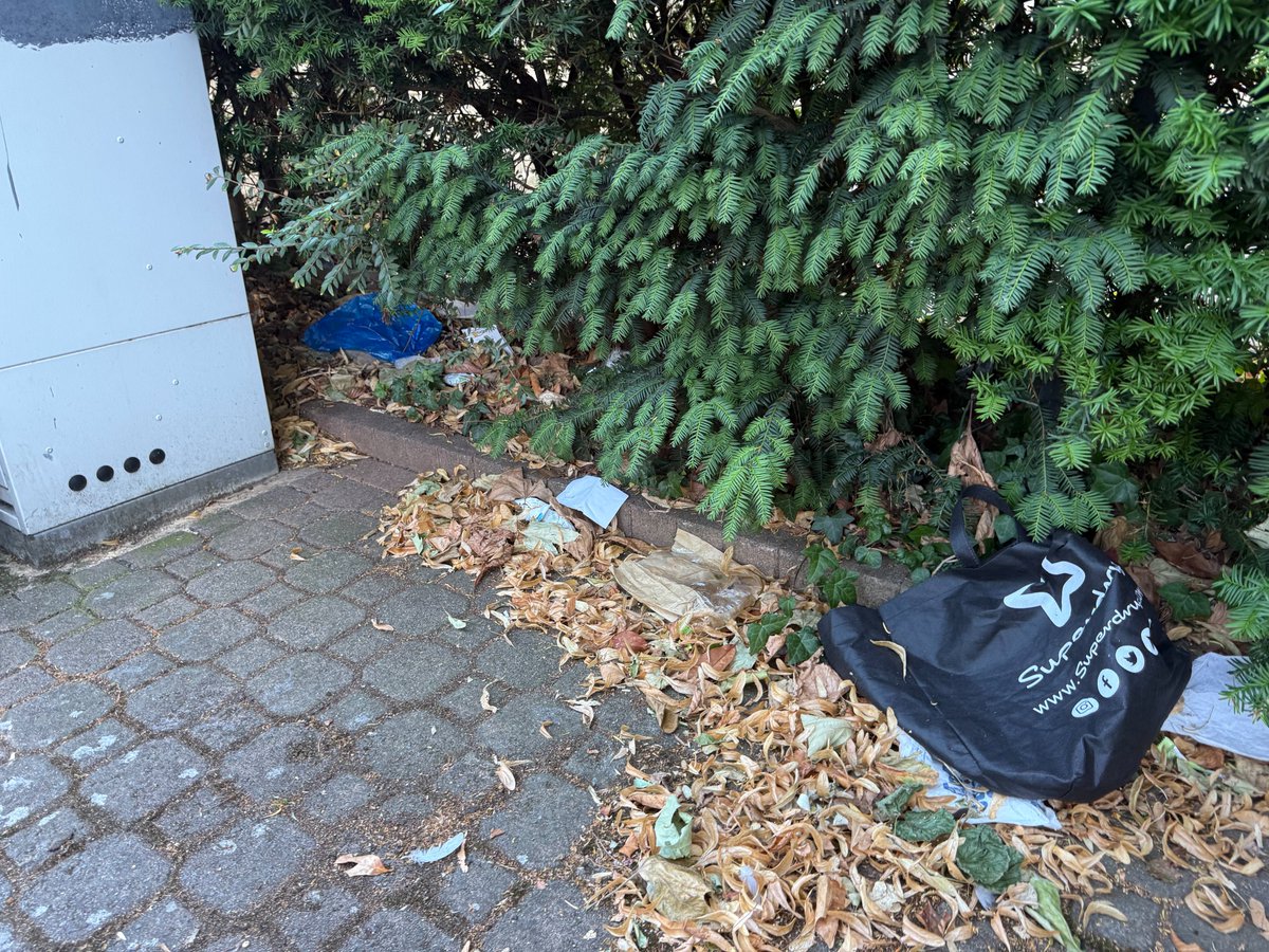 Charlie Stevens tweet media