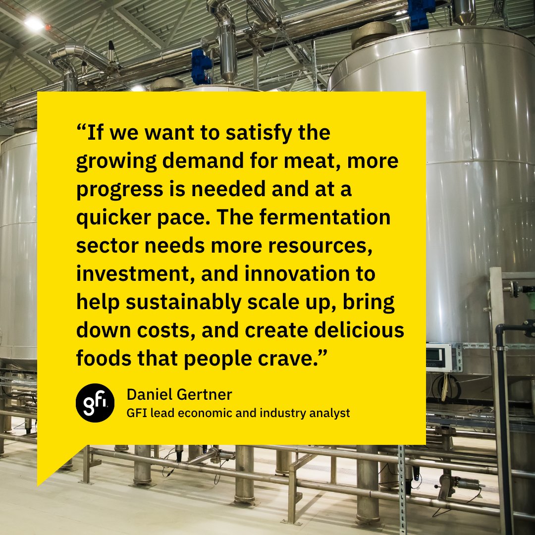 GoodFoodInst's tweet photo. 🌎 Fermentation is reshaping the global protein landscape—and GFI’s 2024 State of the Industry: Fermentation webinar highlights just how far the field has come, and what’s still needed to scale its impact. 📽️Watch on-demand now: https://t.co/3jHRGNRkKP ⤵️ https://t.co/LaZUCOgLEt