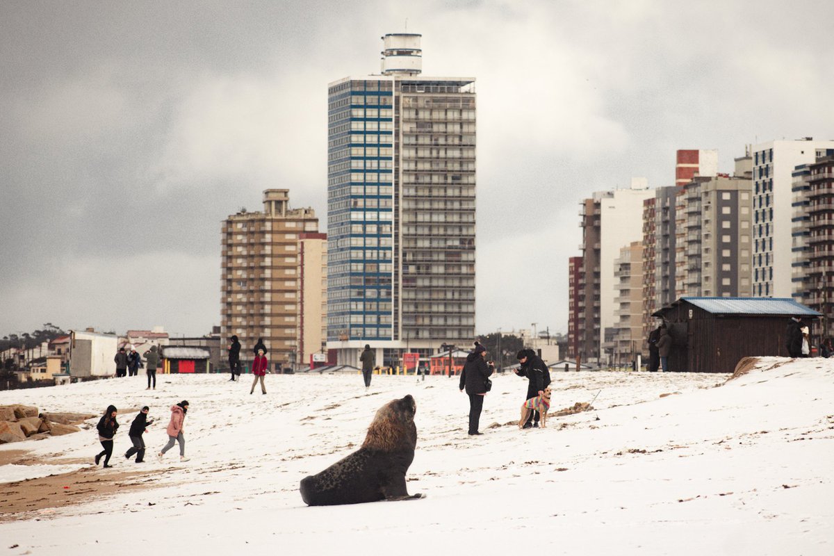 Chaque Silva. tweet media