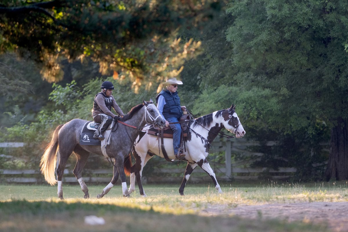 EricaPhotog's tweet image. RIP to the Legend, D. Wayne Lukas
dailygazette.com/horse_racing/t…