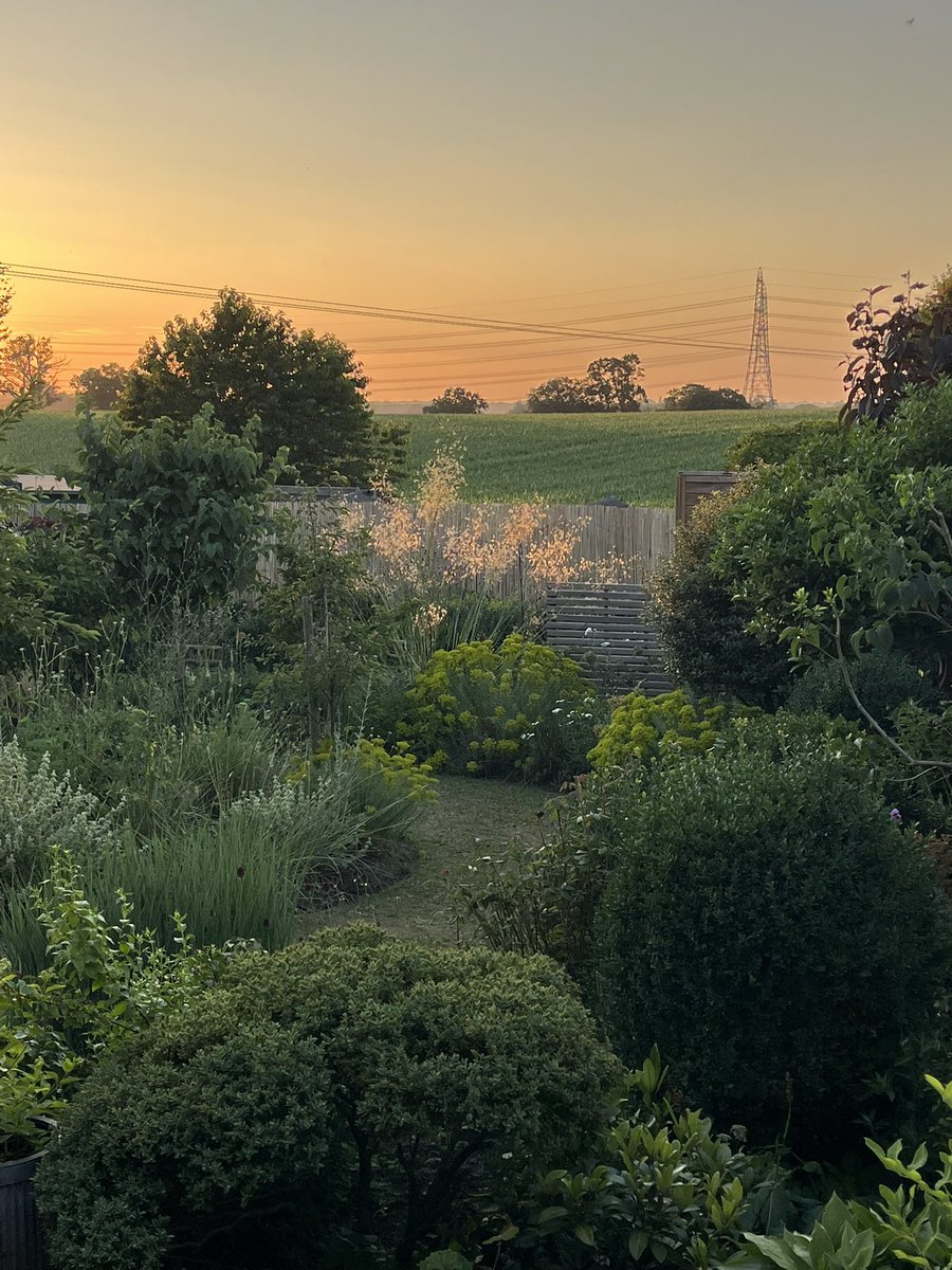 GilbertnJoe's tweet image. Last evening of June and the end of a sad day