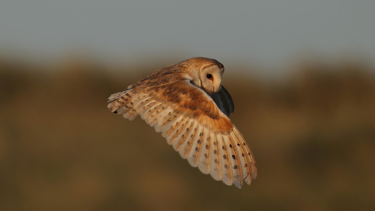 Mark fullerton tweet media