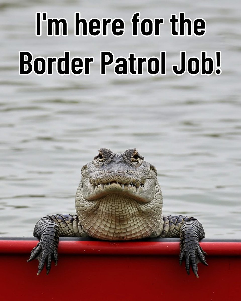 No experience required