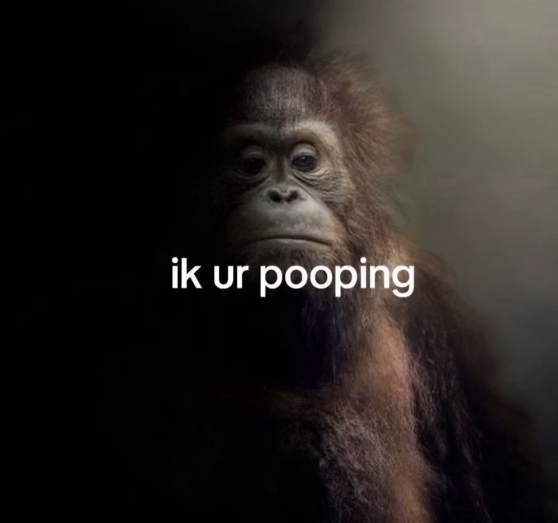 LIVE - twitch .tv/epidemic_cs2

ALL TIME HIGH MARKET 🟢

Also made stream server so we can all hang whenever I'm live