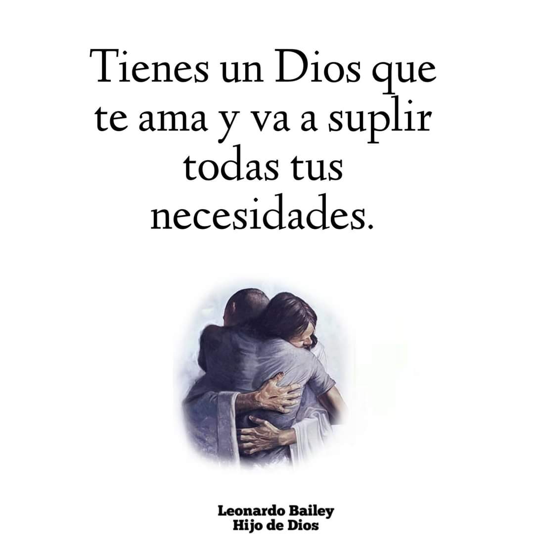 Biblia_Linea's tweet image. 