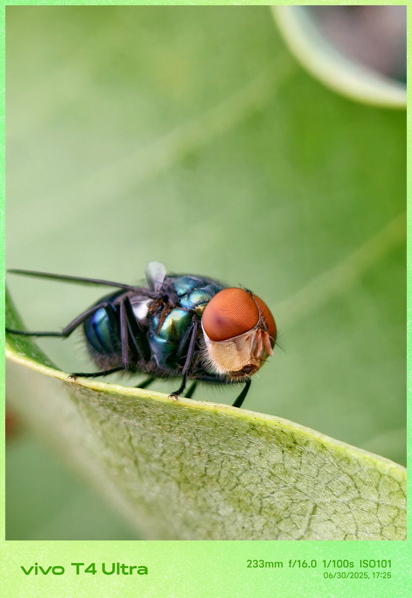 Sidjadhav61's tweet image. Shot on #vivot4ultra ..
Just normal edited...