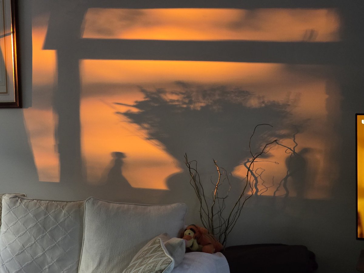 I__J__W's tweet image. That time of year when we have sunset framed on the wall #Sunset