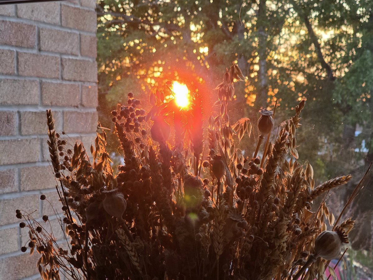 I__J__W's tweet image. That time of year when we have sunset framed on the wall #Sunset