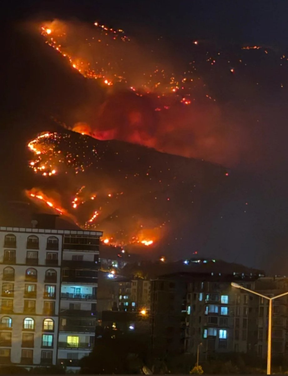 Önce sokaklarımız silindi 
Şimdide o sokaklardan kaçıp sıgındıgimiz agaclar 
Bu gece buna dayanamıyor yüreğim.

#hatay
#yangın
#antakyayanıyor