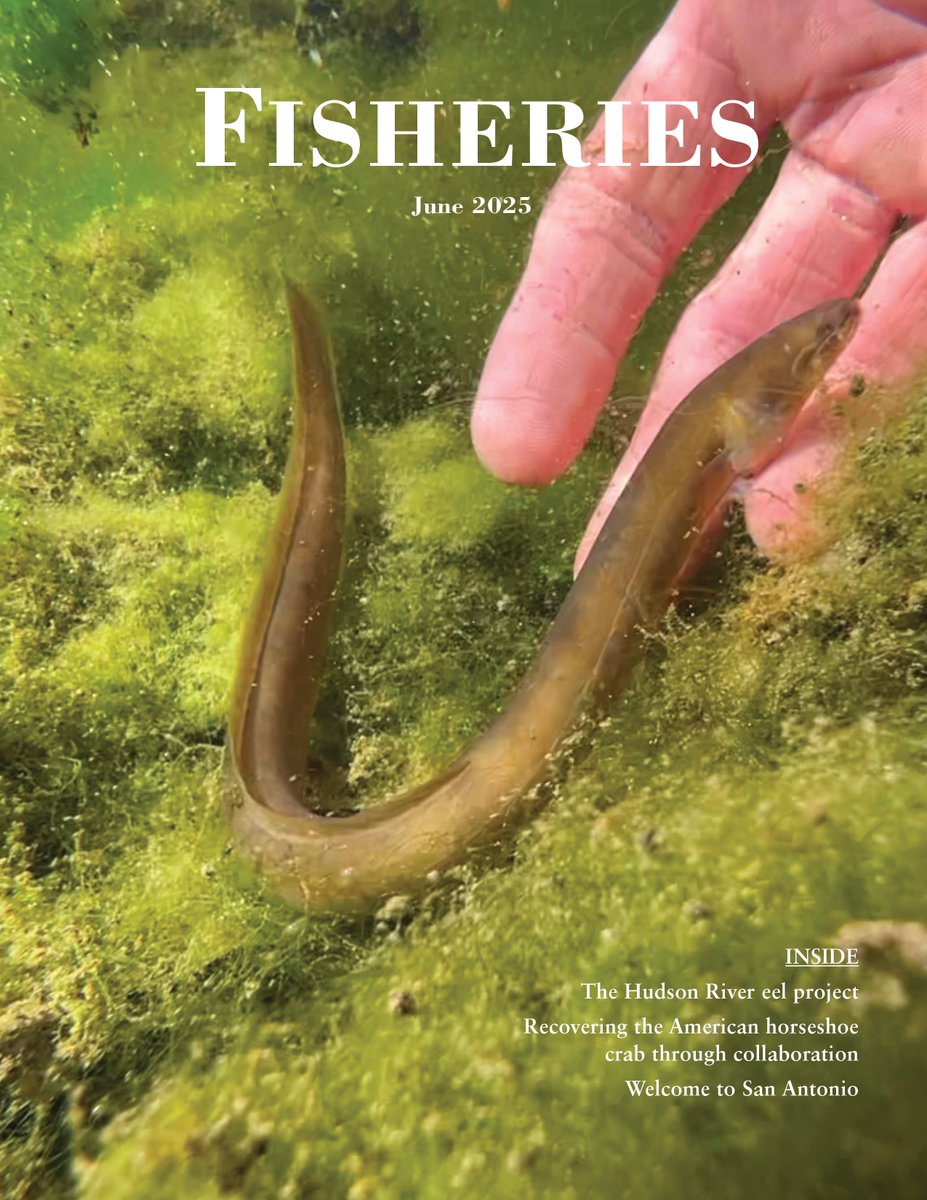 In the latest issue of #Fisheries: The Hudson River Eel Project: A community science framework for management and education (open access), Recovering the American horseshoe crab through a commitment to collaboration, San Antonio preview, and much more: academic.oup.com/fisheries/issu…