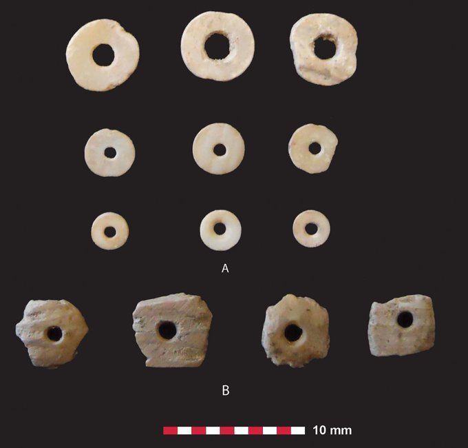 AntiquityJ's tweet image. Shell beads from prehistoric burials at Ban Non Wat, Thailand.

They have been found in many #Neolithic and #BronzeAge mortuary contexts across Southeast Asia. Isotope analysis suggests they were produced and traded widely.

🔗 from 2024 🆓 doi.org/10.15184/aqy.2…