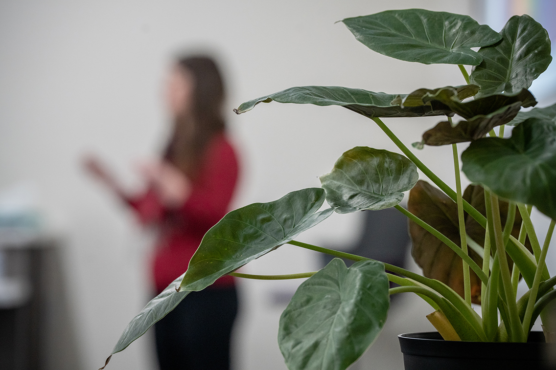 WeberStateU's tweet image. A greener classroom can help students perform better, according to researchers at Weber State University.
Read more at bit.ly/3IlV5Iq