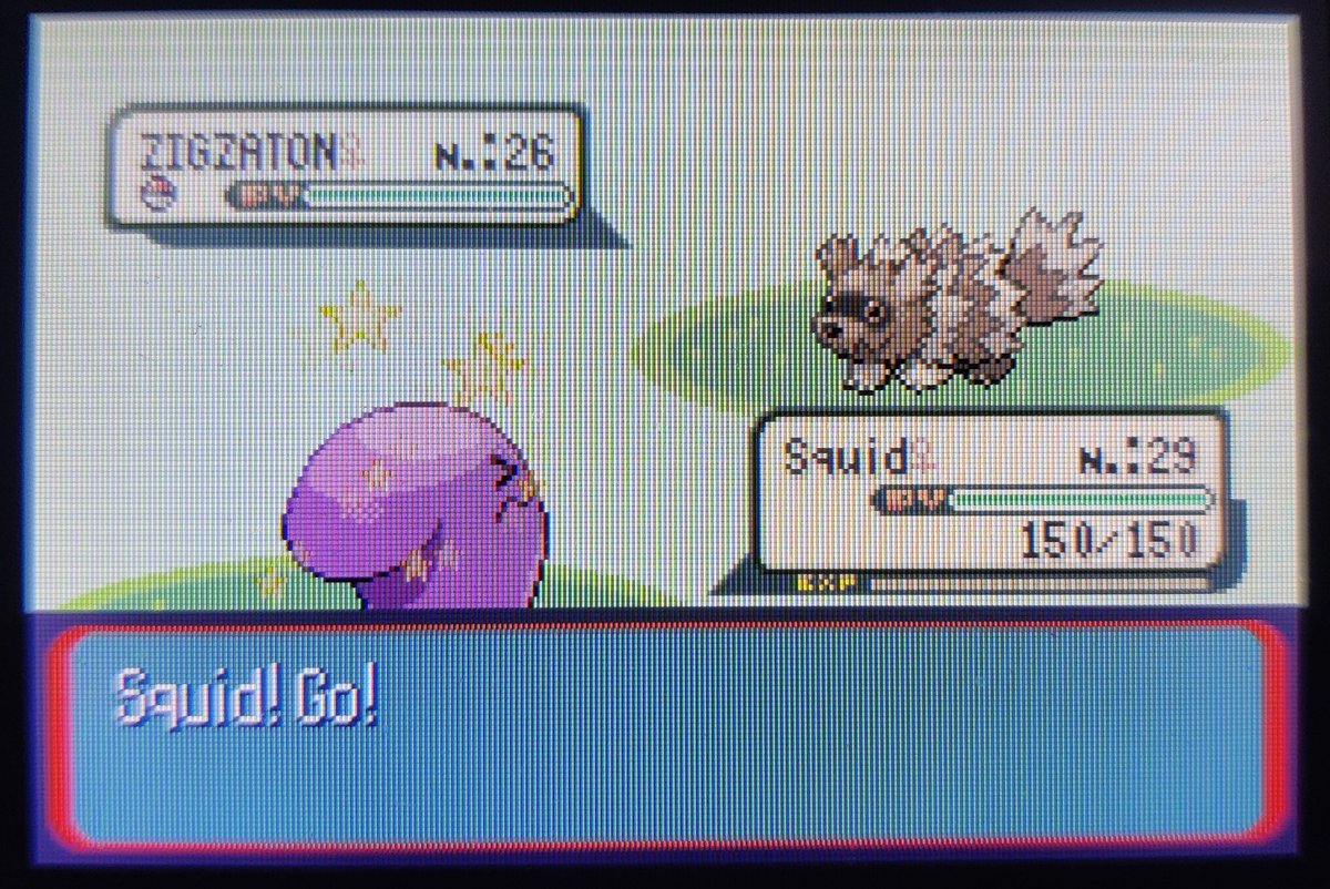[🌟479] QULBUTOKE SHINY 💜😱 
Après 10783 rencontres sur ma version Saphir !
Quelle ne fut pas ma surprise en voyant la ball sceller définitivement la capture...
Méga stylé Qulbutoke au Parc Safari !
Allez, phase 11 de Girafarig 👍🏻
⏯️ Vidéo de capture : youtu.be/qzHiHOxEZHY?si…
