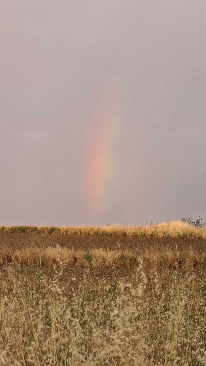 SakTheShark's tweet photo. With #SummerStorms you can see a cute #Rainbow like this
#EnjoyMonday :3 https://t.co/tKQwd3Worn