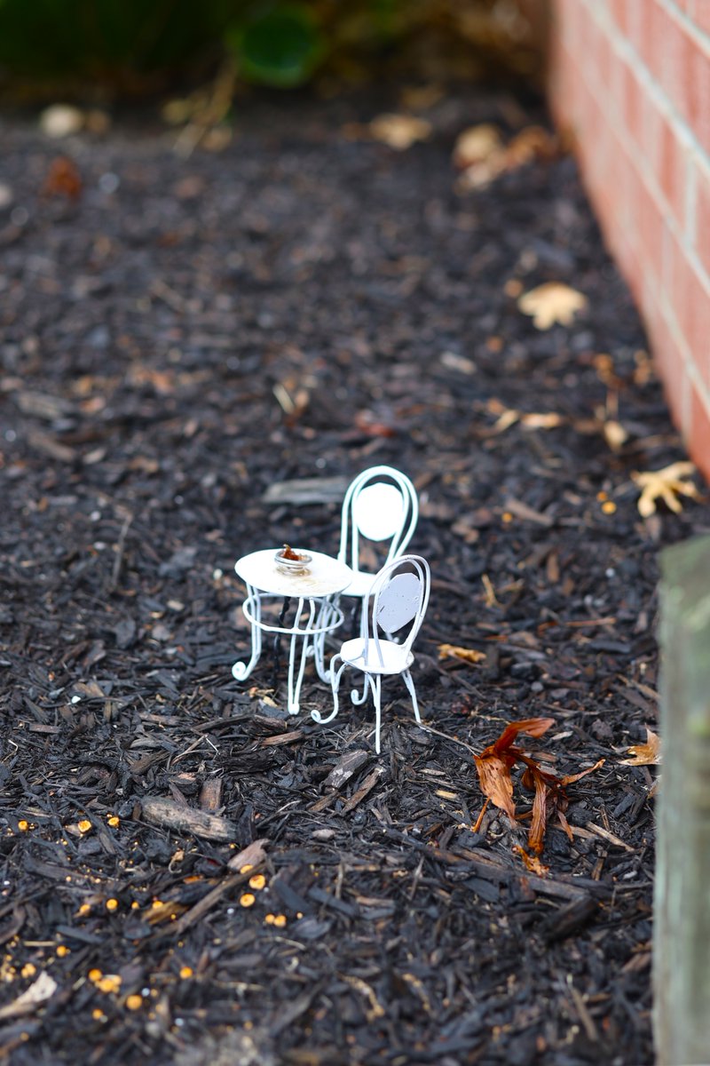 PittBradford's tweet image. Have you spotted any fairies in the #YokohamaGarden outside Fisher Hall? 🧚‍♀️#TinyTable