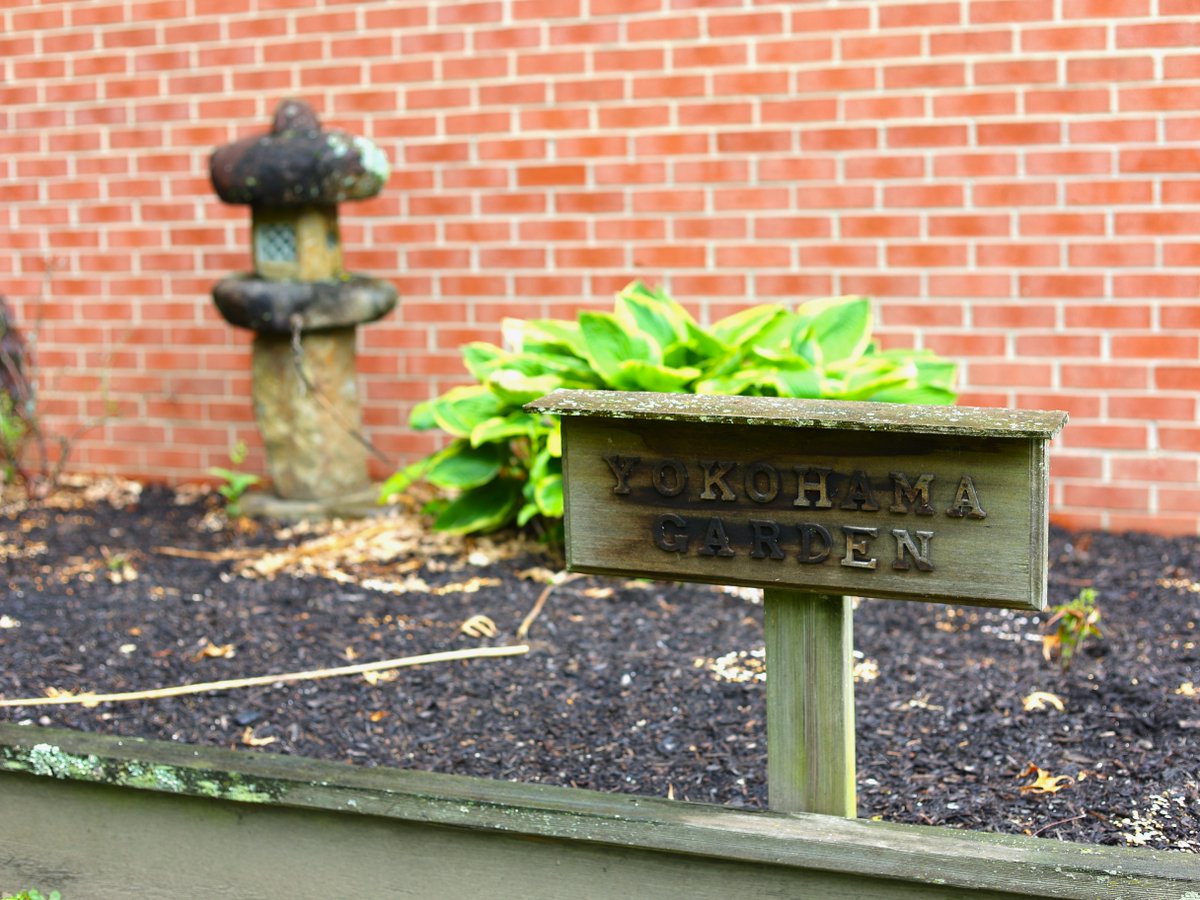 PittBradford's tweet image. Have you spotted any fairies in the #YokohamaGarden outside Fisher Hall? 🧚‍♀️#TinyTable